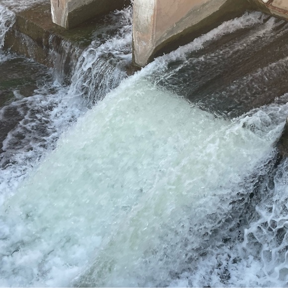 Meet your Posher, Bob - Picture 12 of 15